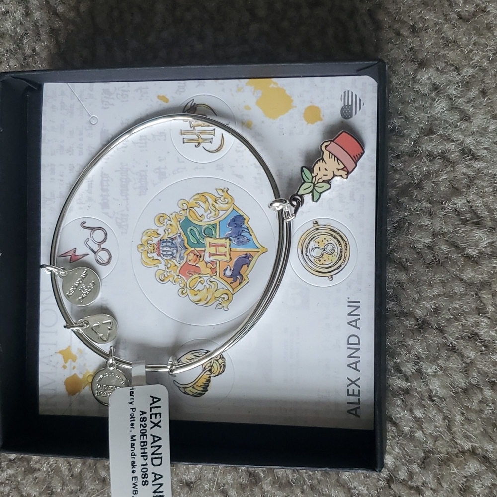 Alex and ani limited edition love ❤ this Harry Potter charm boxed new